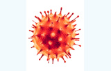 COVID-19 - Antigen rapid Tests