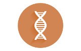 Library quantifcation master mix for Illumina®